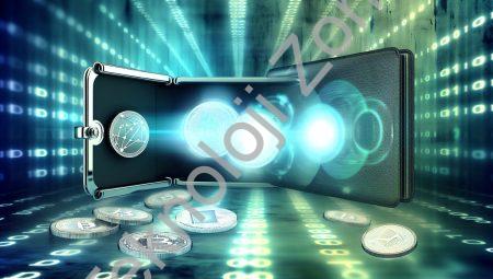 Dijital Lira cüzdanlarda! Kripto paralar için yolun sonu mu?