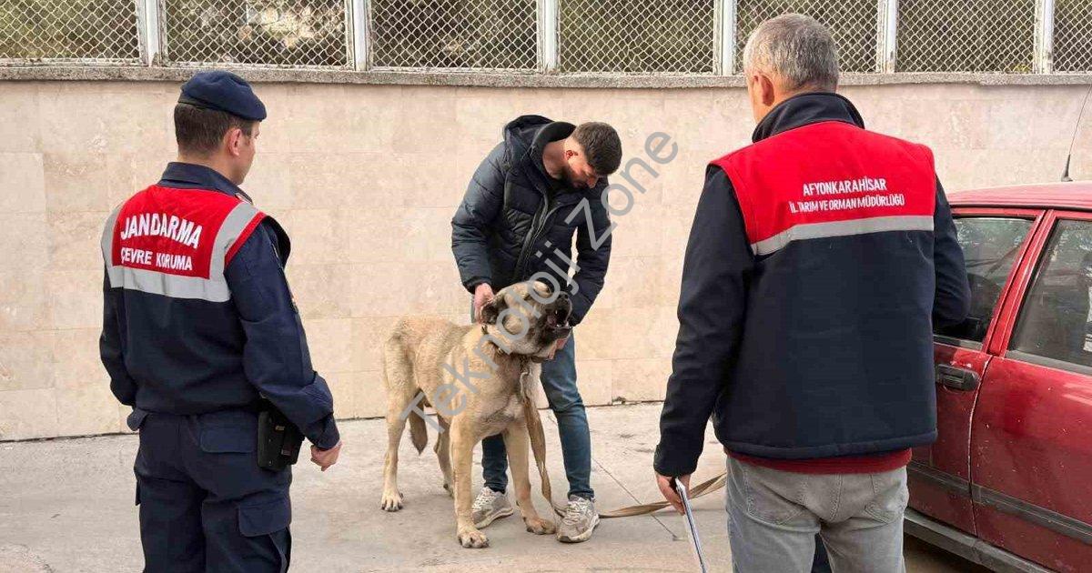 "Afyonkarahisar'da Dron Destekli Köpek Dövüşü Operasyonu: 12 Gözaltı" başlıklı haber için fotorealis