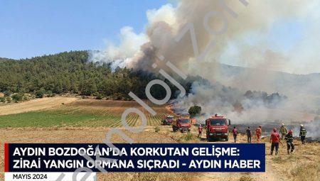 Aydın Bozdoğan’da Korkutan Gelişme: Zirai Yangın Ormana Sıçradı