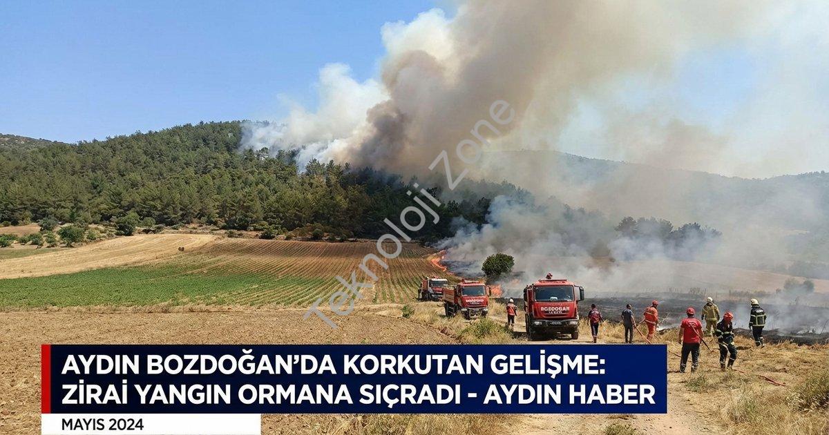 "Aydın Bozdoğan'da Korkutan Gelişme: Zirai Yangın Ormana Sıçradı" başlıklı haber için fotorealistik,