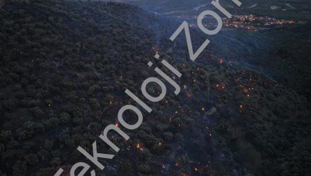 Aydın Bozdoğan’da Korkutan Yangın: Alevler Kontrol Altına Alındı
