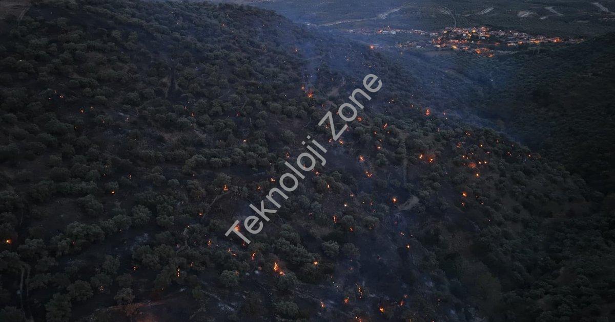 "Aydın Bozdoğan'da Korkutan Yangın: Alevler Kontrol Altına Alındı" başlıklı haber için fotorealistik