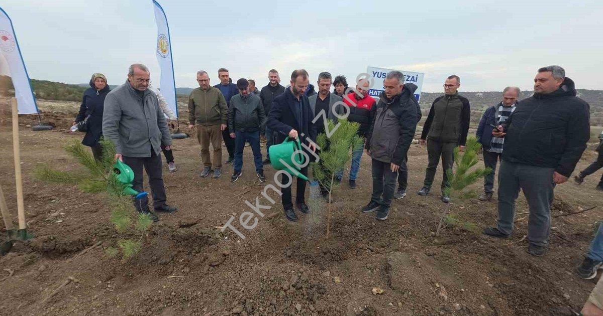 "Kütahya'da Vefa Örneği: Yusuf Sevil Adına 400 Fidan Dikildi" başlıklı haber için fotorealistik, pro