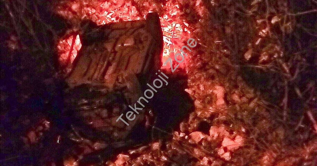 "Muğla'da Korkutan Kaza: Araç Kontrolden Çıktı, Dereye Uçtu" başlıklı haber için fotorealistik, prof