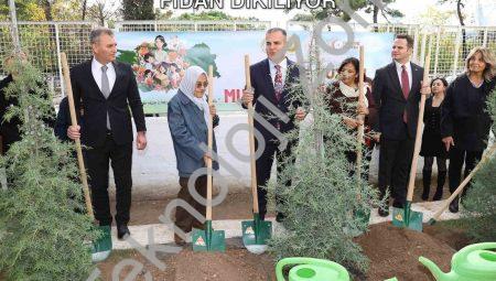 Muğla’da Öğretmenler İçin 16 Bin 453 Fidan Dikiliyor