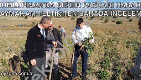 Dumlupınar’da Şeker Pancarı Hasadı: Kaymakam Teltik’ten Sahada İnceleme