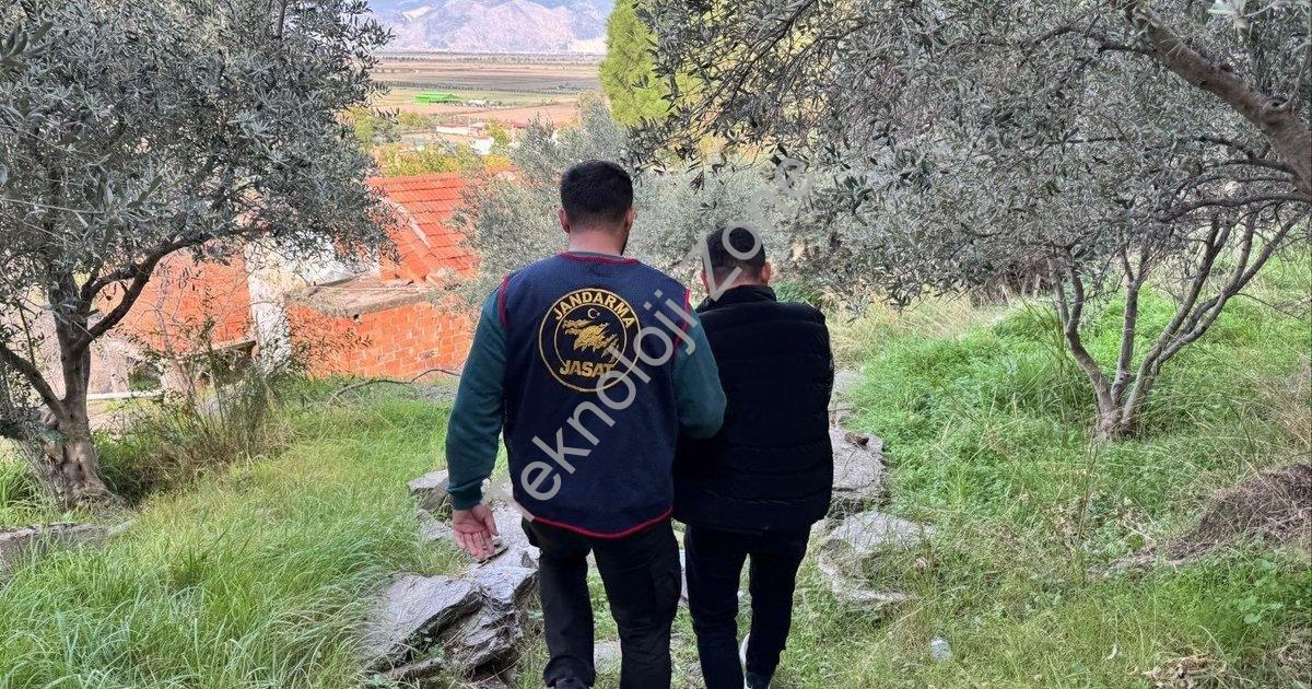 "Aydın Söke'de Firari Şahıs Operasyonu: Ormandaki Metruk Binada Yakalandı" başlıklı haber için fotor