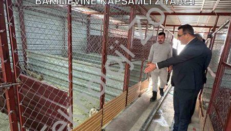 Sarıgöl Kaymakamı Dalak’tan Hayvan Bakımevine Kapsamlı Ziyaret