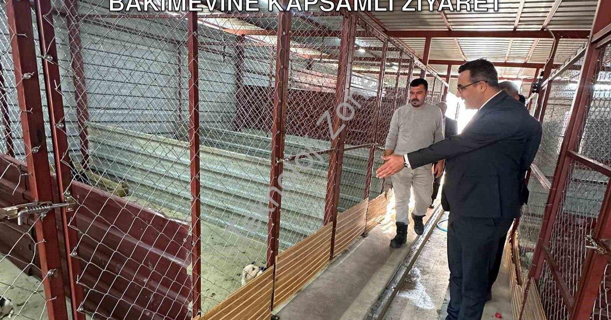 "Sarıgöl Kaymakamı Dalak'tan Hayvan Bakımevine Kapsamlı Ziyaret" başlıklı haber için fotorealistik,