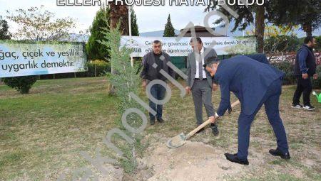 Denizli’de Büyük Çevre Hareketi: Yeşeren Eller Projesi Hayat Buldu