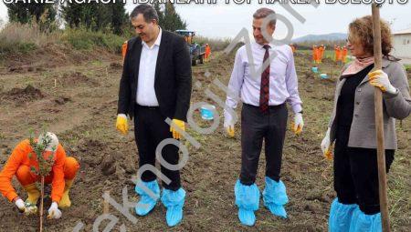 Dalaman Cezaevi’nde Tarımsal Kalkınma: Sakız Ağacı Fidanları Toprakla Buluştu