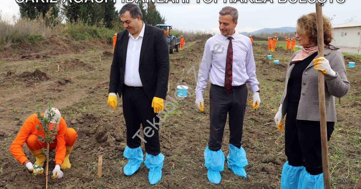 "Dalaman Cezaevi'nde Tarımsal Kalkınma: Sakız Ağacı Fidanları Toprakla Buluştu" başlıklı haber için