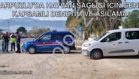 Karpuzlu’da Hayvan Sağlığı İçin Geniş Kapsamlı Denetim ve Aşılama