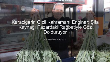 Karaciğerin Gizli Kahramanı Enginar: Şifa Kaynağı Pazardaki Rağbetiyle Göz Dolduruyor