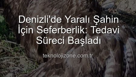 Denizli’de Yaralı Şahin İçin Seferberlik: Tedavi Süreci Başladı