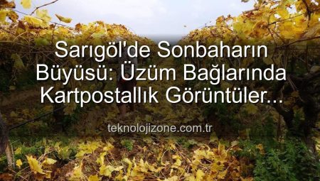 Sarıgöl’de Sonbaharın Büyüsü: Üzüm Bağlarında Kartpostallık Görüntüler Eşliğinde Budama Çalışmaları Başladı