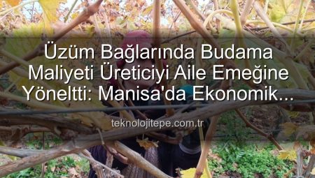Üzüm Bağlarında Maliyet İsyanı: Üreticiler Ailece Budamaya Koştu!
