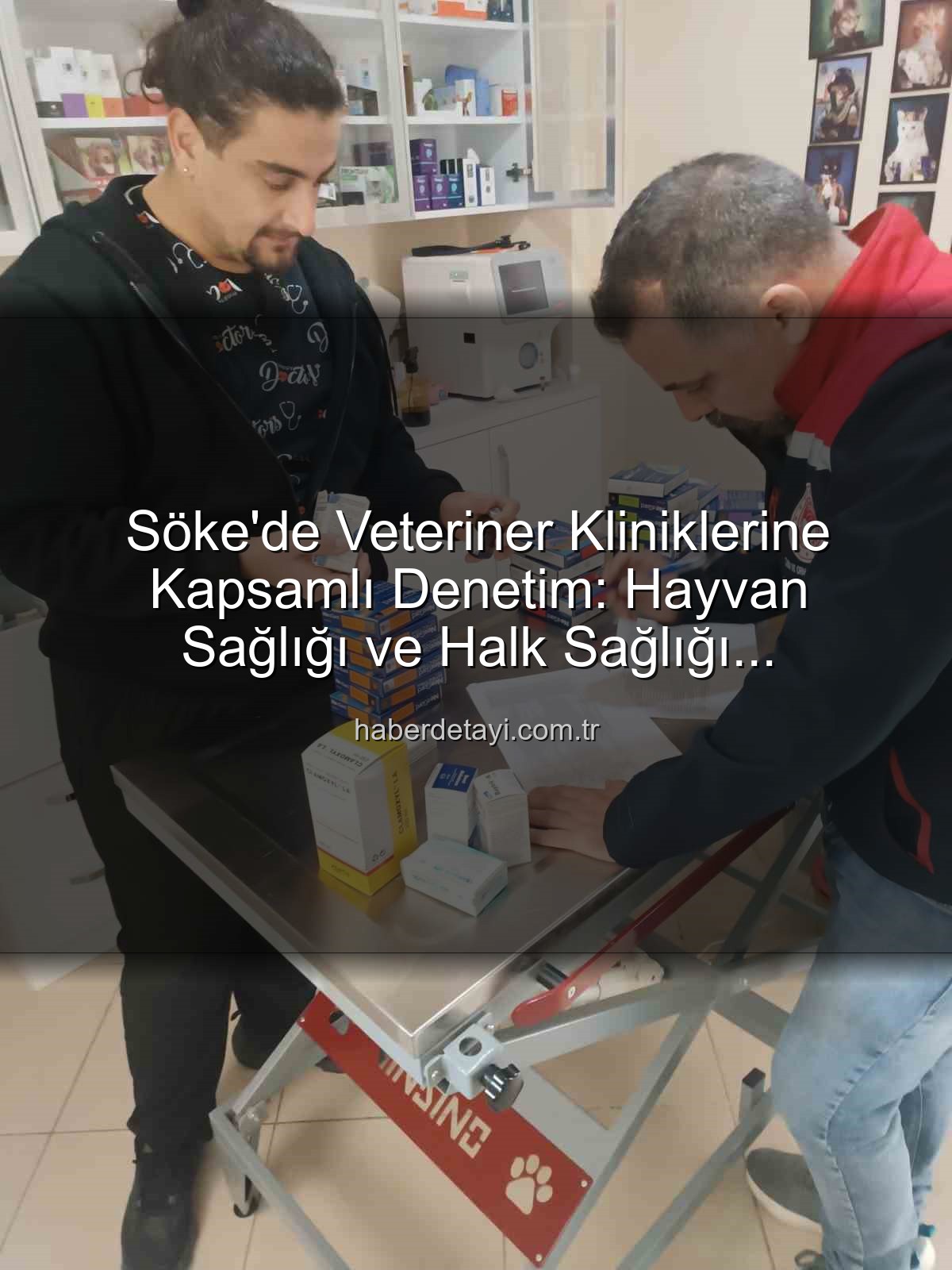 veteriner klinik denetimi - Söke'de Veteriner Kliniklerine Kapsamlı Denetim: Hayvan Sağlığı ve Halk Sağlığı Önceliklendirildi