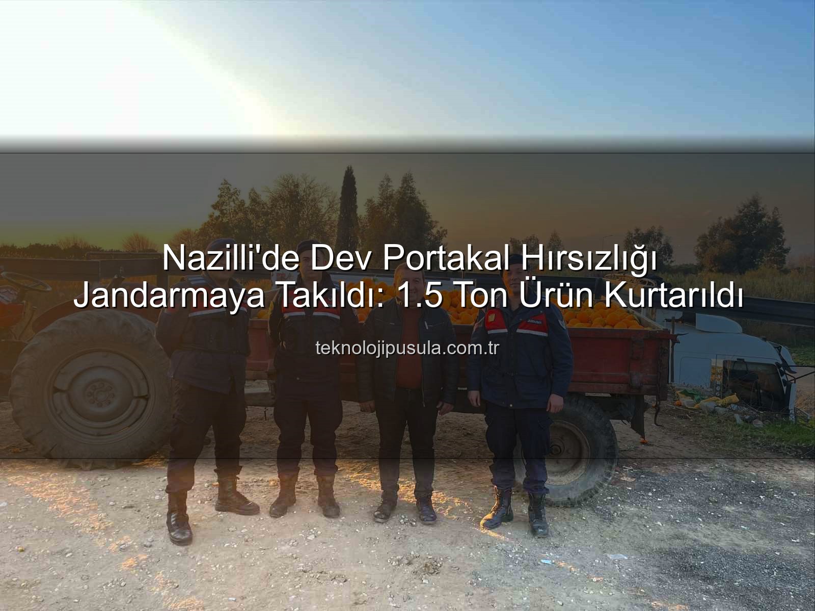 portakal hırsızlığı - Nazilli'de Dev Portakal Hırsızlığı Jandarmaya Takıldı: 1.5 Ton Ürün Kurtarıldı
