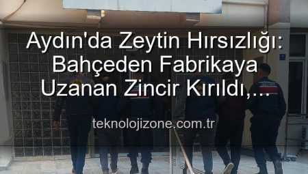 Aydın’da Zeytin Hırsızlığı: Bahçeden Fabrikaya Uzanan Zincir Kırıldı, Failler Yakalandı