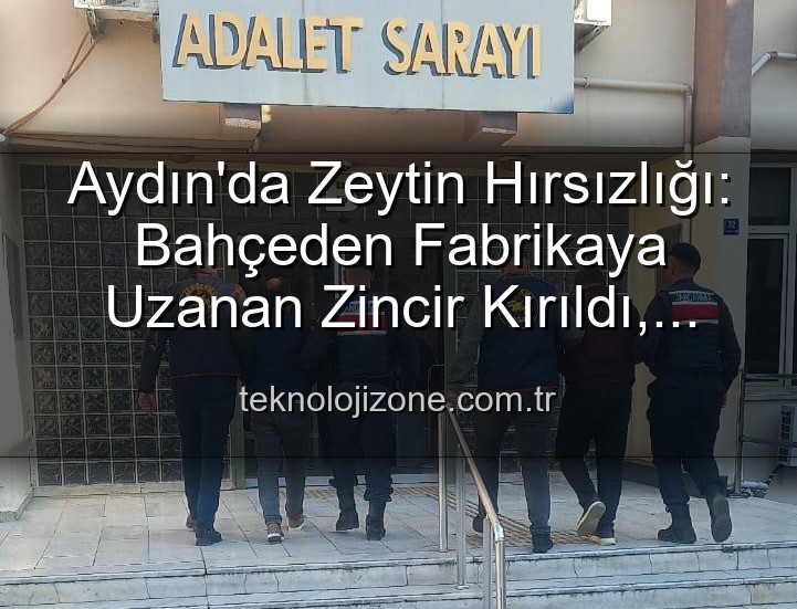 zeytin hırsızlığı - Aydın'da Zeytin Hırsızlığı: Bahçeden Fabrikaya Uzanan Zincir Kırıldı, Failler Yakalandı
