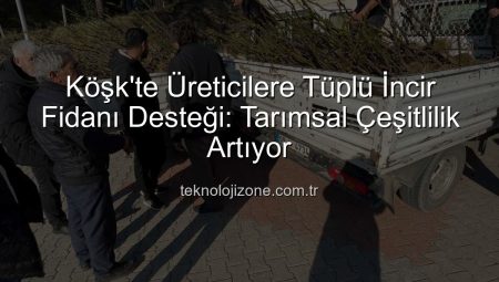Köşk’te Üreticilere Tüplü İncir Fidanı Desteği: Tarımsal Çeşitlilik Artıyor