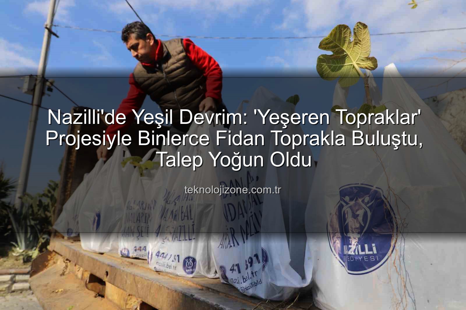 ağaç fidanı dağıtımı - Nazilli'de Yeşil Devrim: 'Yeşeren Topraklar' Projesiyle Binlerce Fidan Toprakla Buluştu, Talep Yoğun Oldu