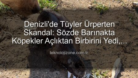 Denizli’de Tüyler Ürperten Skandal: Sözde Barınakta Köpekler Açlıktan Birbirini Yedi, Yurt Dışından Bağışlar İstismar Edildi