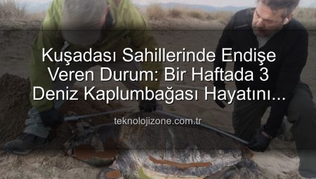 Kuşadası Sahillerinde Endişe Veren Durum: Bir Haftada 3 Deniz Kaplumbağası Hayatını Kaybetti