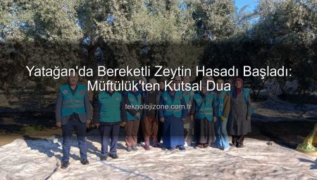 Yatağan’da Bereketli Zeytin Hasadı Başladı: Müftülük’ten Kutsal Dua