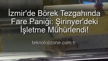 İzmir’de Börek Tezgahında Fare Paniği: Şirinyer’deki İşletme Mühürlendi!