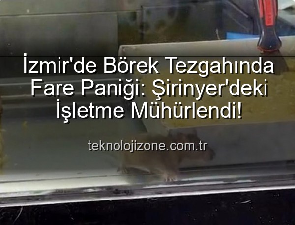 börek tezgahında fare - İzmir'de Börek Tezgahında Fare Paniği: Şirinyer'deki İşletme Mühürlendi!