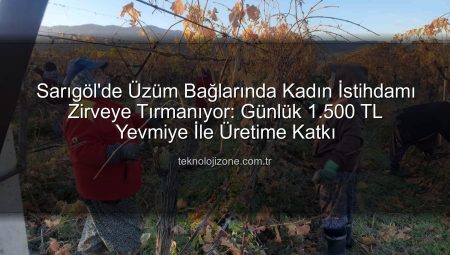 Sarıgöl’de Üzüm Bağlarında Kadın İstihdamı Zirveye Tırmanıyor: Günlük 1.500 TL Yevmiye İle Üretime Katkı