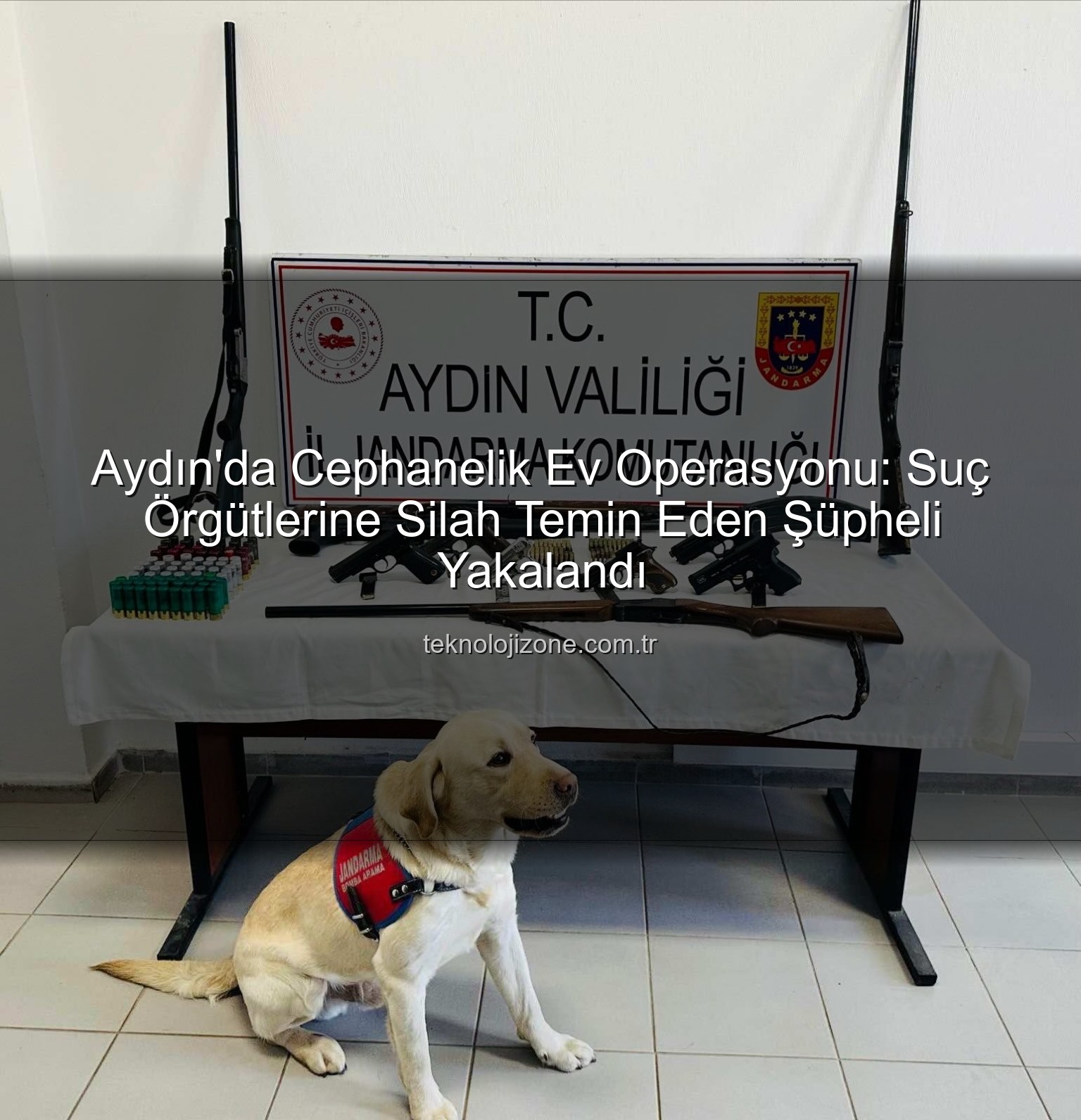 ruhsatsız silah operasyonu - Aydın'da Cephanelik Ev Operasyonu: Suç Örgütlerine Silah Temin Eden Şüpheli Yakalandı