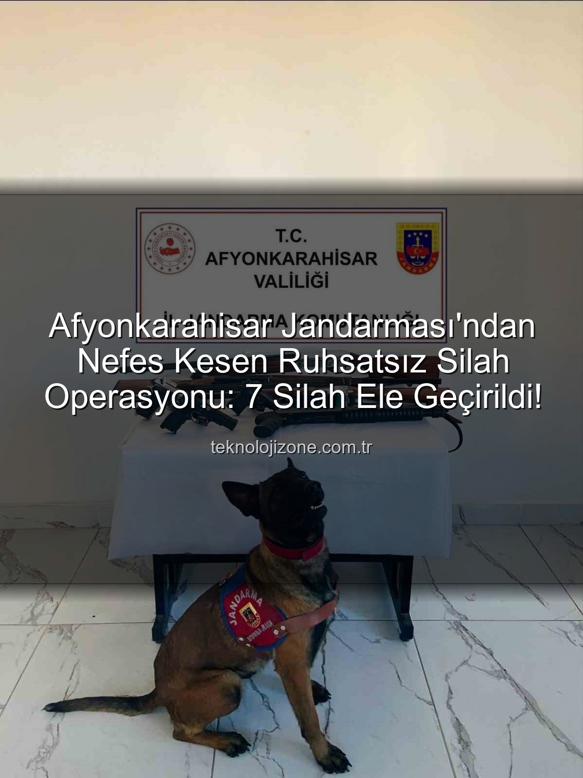 ruhsatsız silah operasyonu - Afyonkarahisar Jandarması'ndan Nefes Kesen Ruhsatsız Silah Operasyonu: 7 Silah Ele Geçirildi!