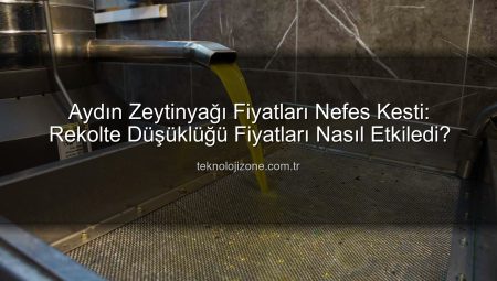 Aydın Zeytinyağı Fiyatları Nefes Kesti: Rekolte Düşüklüğü Fiyatları Nasıl Etkiledi?