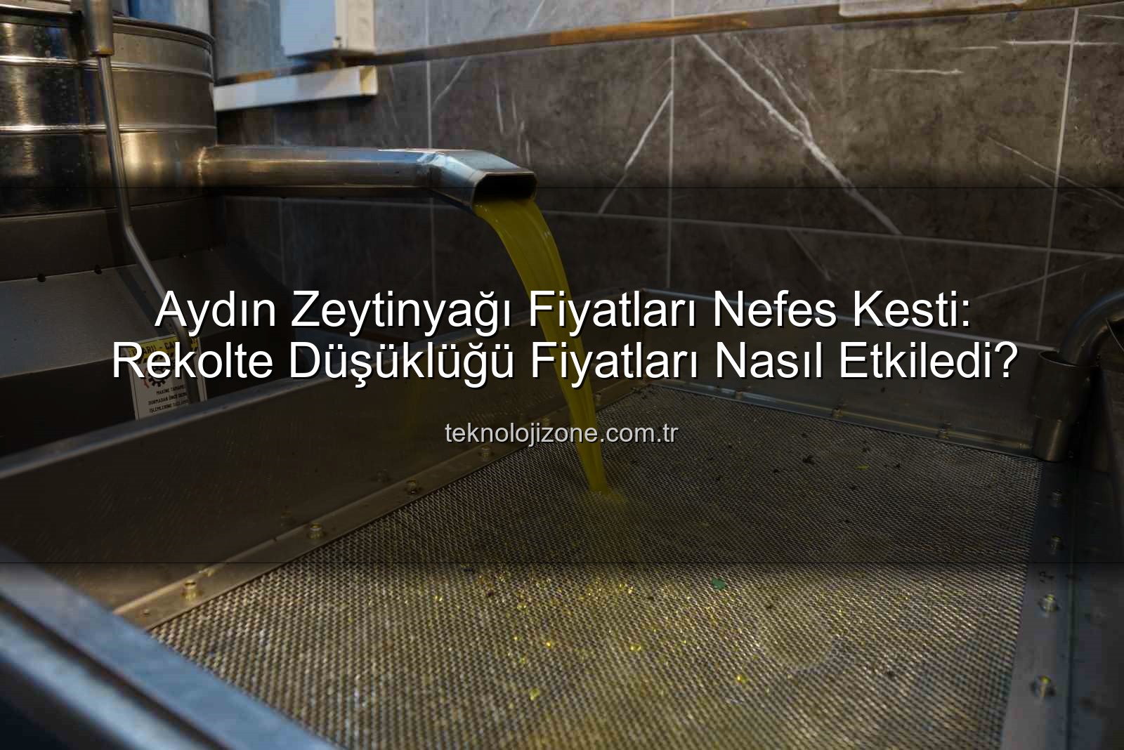 zeytinyağı fiyatları - Aydın Zeytinyağı Fiyatları Nefes Kesti: Rekolte Düşüklüğü Fiyatları Nasıl Etkiledi?