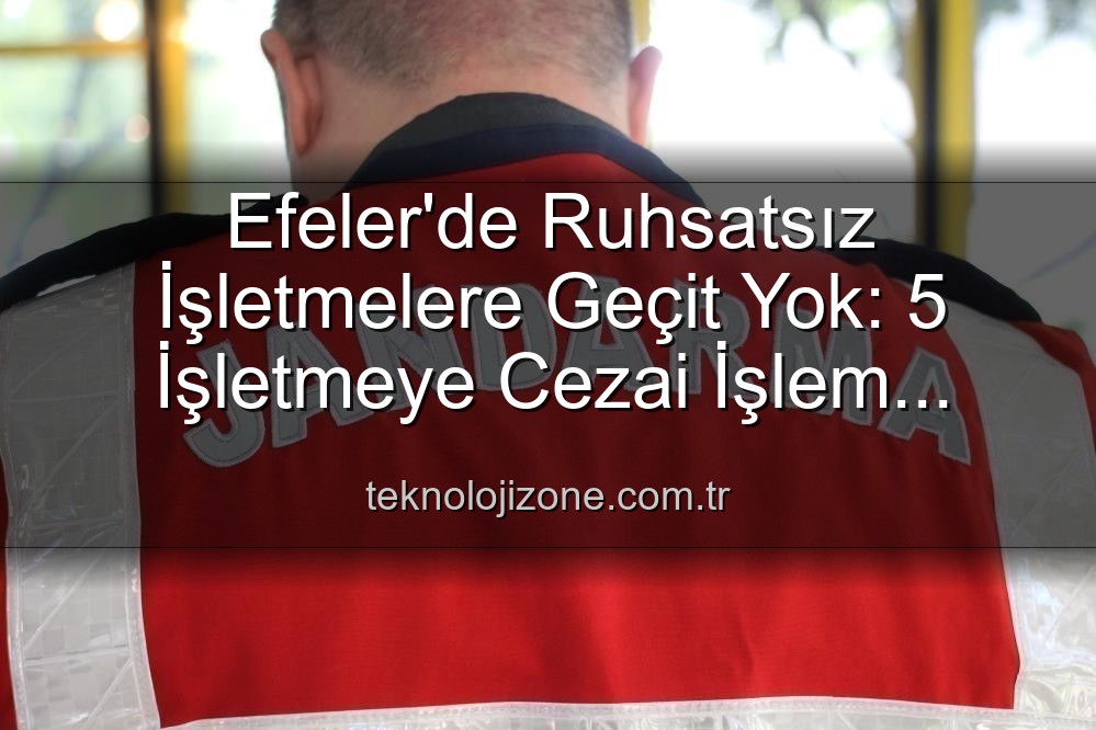 Efeler ruhsatsız işletme - Efeler'de Ruhsatsız İşletmelere Geçit Yok: 5 İşletmeye Cezai İşlem Uygulandı!