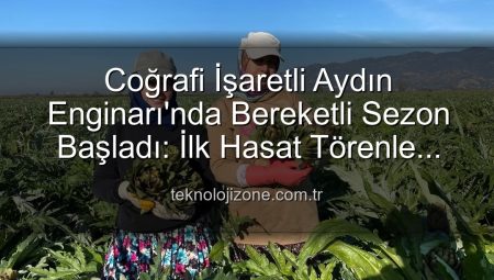 Coğrafi İşaretli Aydın Enginarı’nda Bereketli Sezon Başladı: İlk Hasat Törenle Yapıldı