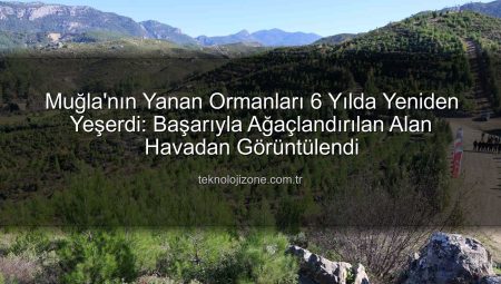 Muğla’nın Yanan Ormanları 6 Yılda Yeniden Yeşerdi: Başarıyla Ağaçlandırılan Alan Havadan Görüntülendi