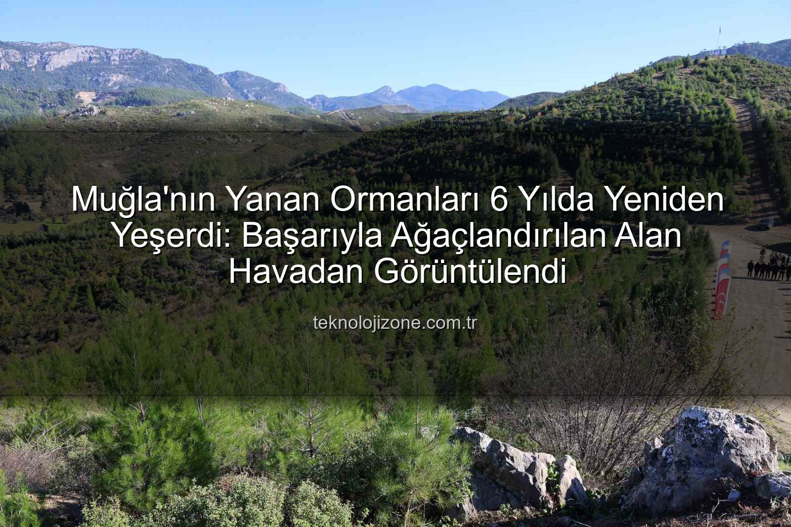 orman yeniden ağaçlandırma - Muğla'nın Yanan Ormanları 6 Yılda Yeniden Yeşerdi: Başarıyla Ağaçlandırılan Alan Havadan Görüntülendi